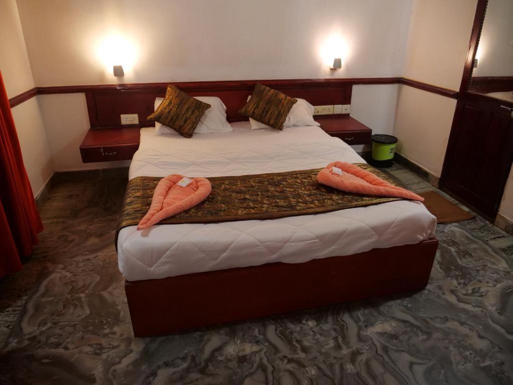 Hosteller'S Varkala Værelse billede